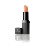 Lipsticks-Nudes, Neutral and Browns